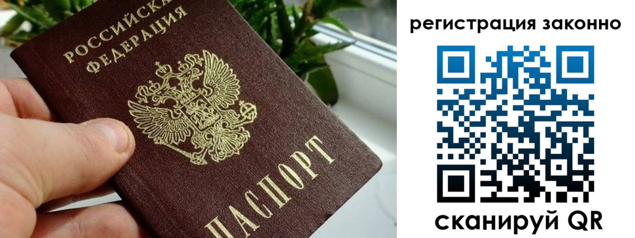 прописка гарантия в Прохладном